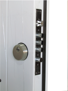 Puerta de Seguridad Premium 70mm Lisa 86 x 205