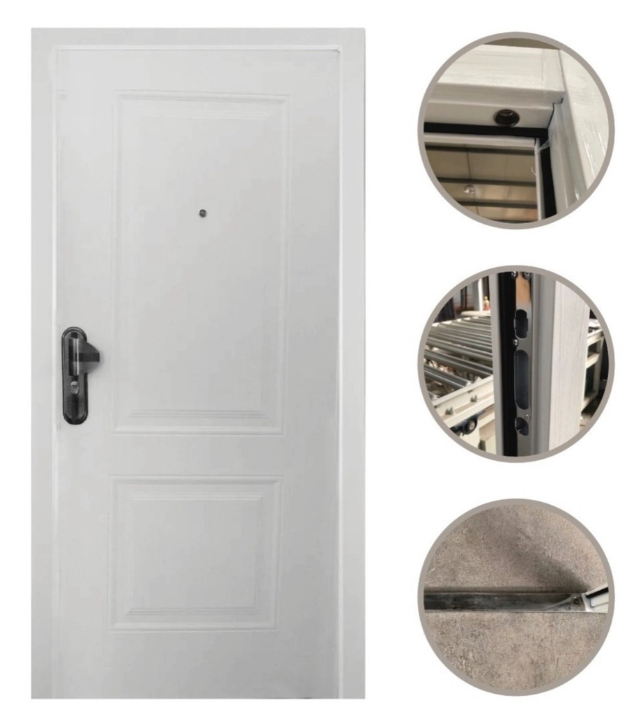 Puerta de Seguridad PREMIUM | Hoja Simple | 2 Paneles | 96 cm x 205 cm