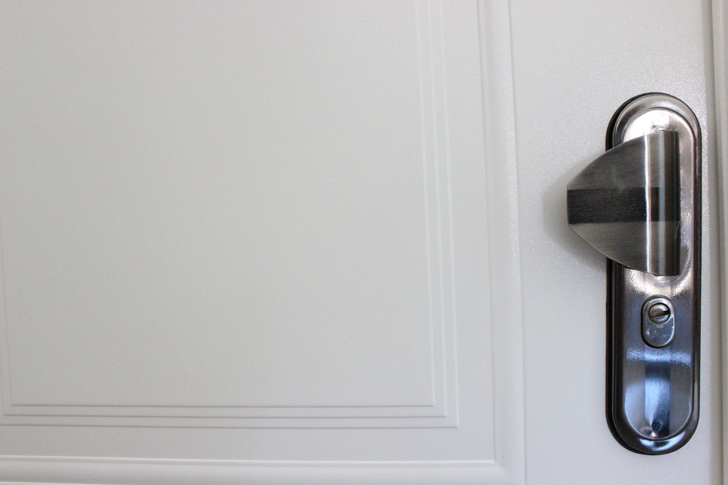 Puerta de Seguridad PREMIUM | Una Hoja | Roble Claro Veteada | 100 cm x 220 cm