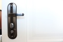 Puerta TERRANOVA (Negra con Barral)