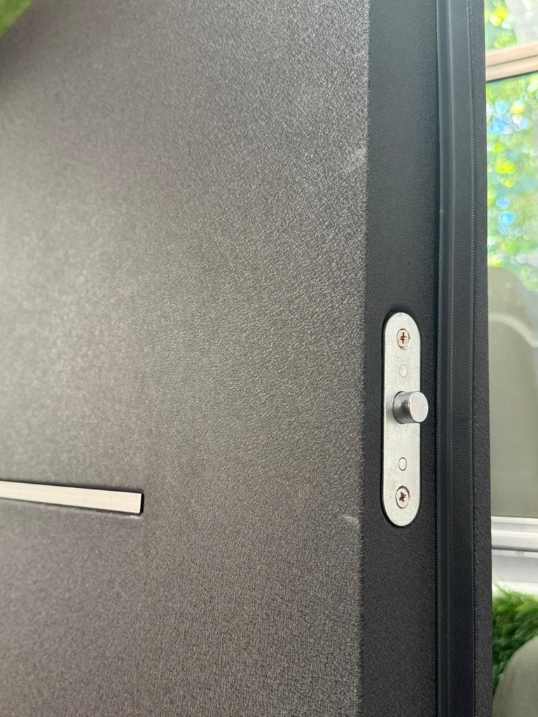 Puertas Terranova 70 mm - Negra con Aluminio