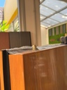 Puertas Terranova 65 mm - Simil Madera con barral