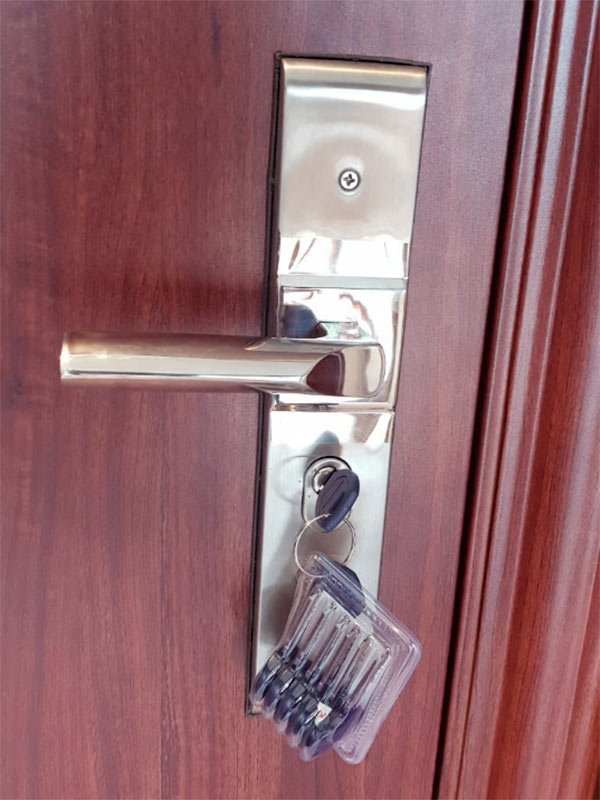 Puerta de Seguridad Premium Lisa Tabaco