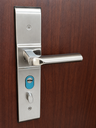 Puerta de Seguridad Premium Santa Cruz Lisa Roble 96 x 205 x 70 mm